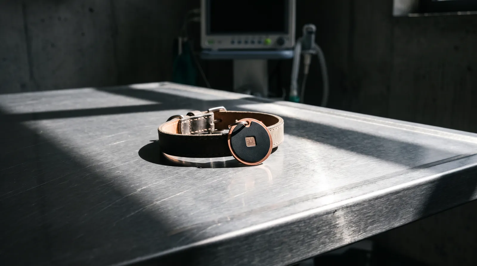Médaillon NFC gravé au laser sur un collier de chien, table de consultation vétérinaire